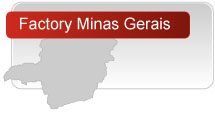 Minas Gerais